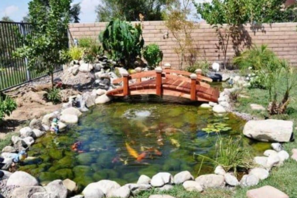 Koi pond dengan jembatan kayu untuk menghias taman